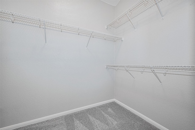 walk in closet featuring carpet floors