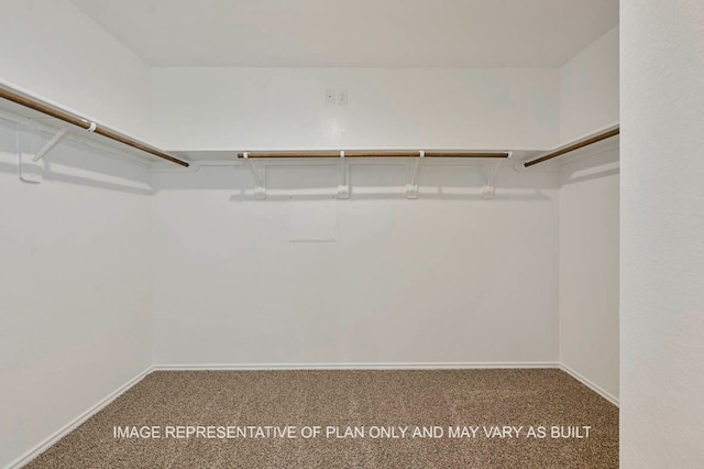 spacious closet with carpet floors