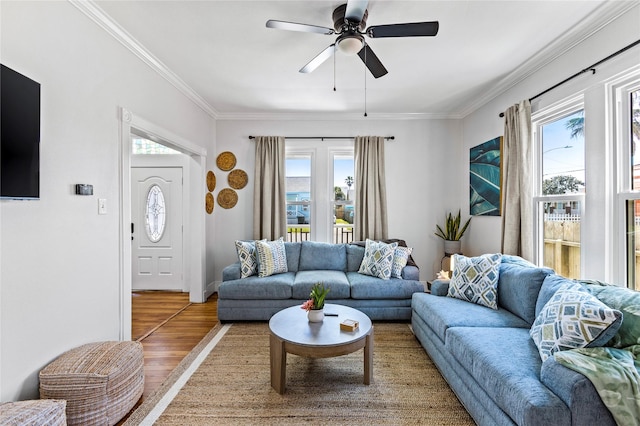 living room with crown molding, ceiling fan, and wood finished floors