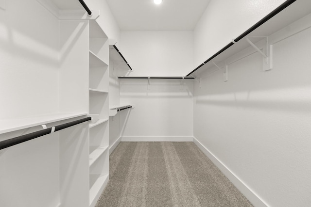 2219 Inglenook Grove Dr, Katy, TX 77493 - walk in closet featuring light carpet