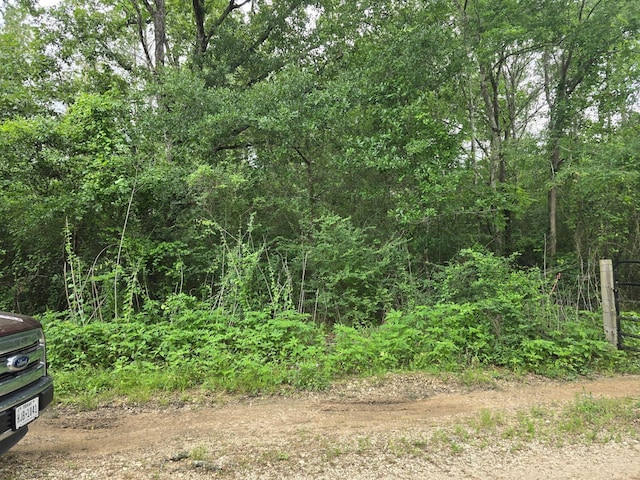 00 Joyner Rd, New Waverly, TX 77358