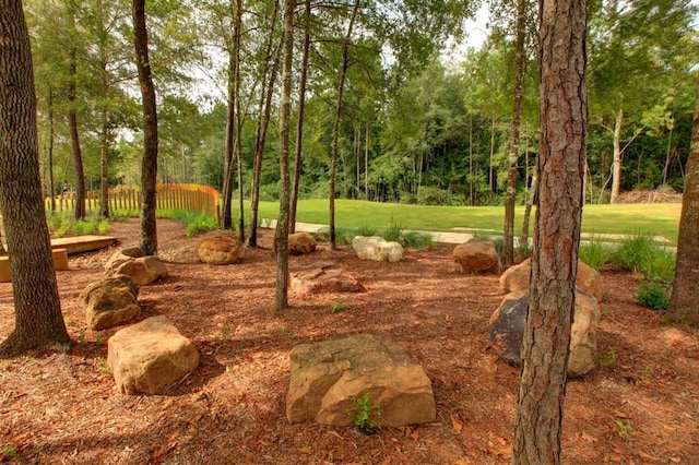 view of yard featuring fence