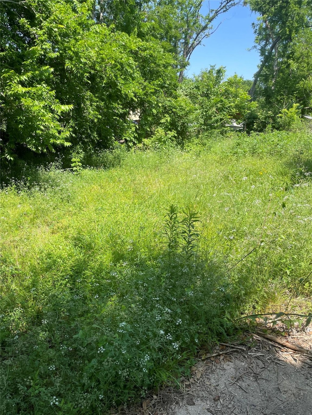 5523 Makeig St, Houston, TX 77026 - photo 1