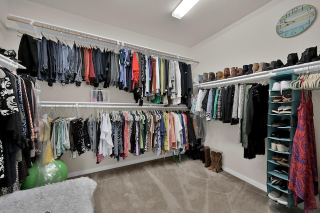 spacious closet featuring carpet