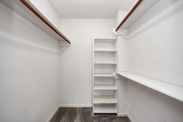walk in closet featuring carpet flooring