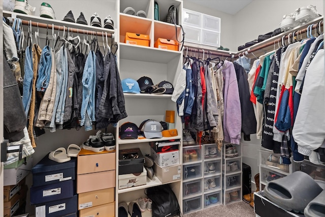 walk in closet featuring carpet floors
