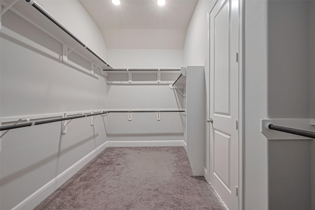 spacious closet with carpet floors