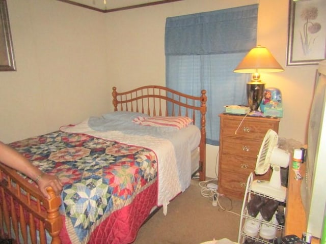 bedroom with carpet flooring