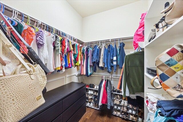walk in closet featuring wood finished floors