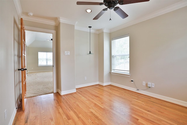 unfurnished room featuring crown molding, a ceiling fan, plenty of natural light, and light wood-type flooring