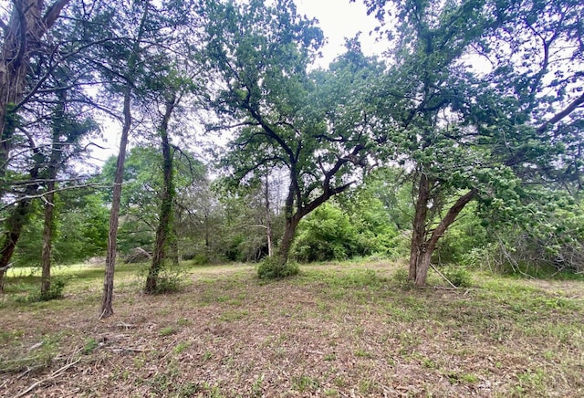 LOT1 County Road 137, Caldwell, TX 77836