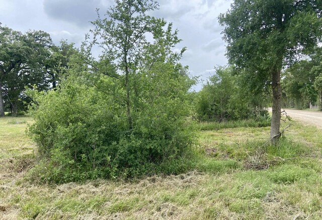 LOT1 County Road 137, Caldwell, TX 77836