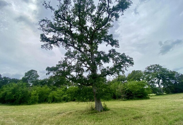 LOT1 County Road 137, Caldwell, TX 77836
