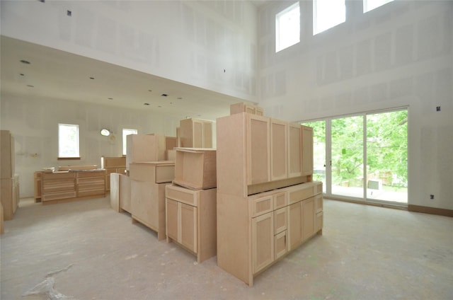 interior space with a high ceiling and a healthy amount of sunlight