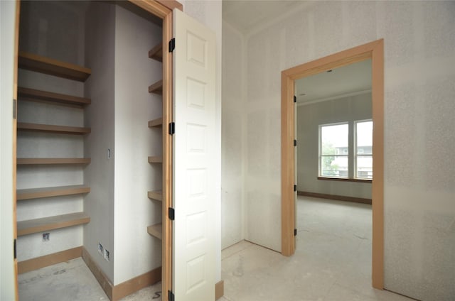 view of closet