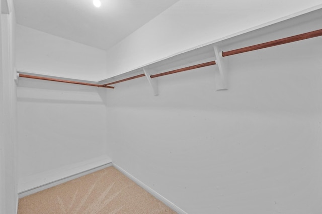 walk in closet featuring carpet