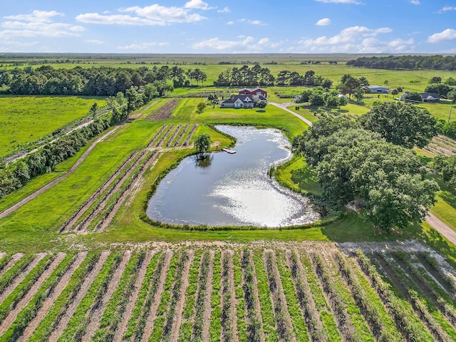 3139 Fm 1406, Winnie, TX 77665 - aerial view featuring a water view and a rural view