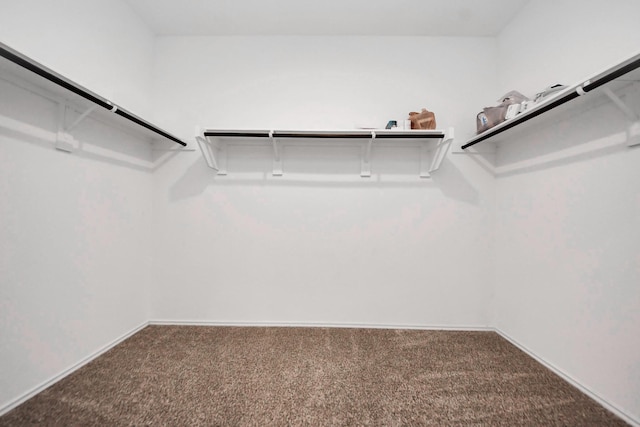 22619 Goose Pasture Ln, Spring, TX 77373 - spacious closet featuring carpet
