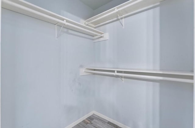 walk in closet featuring wood finished floors