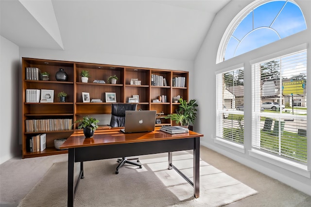 1904 Golden Spruce Ln, Conroe, TX 77301 - home office with baseboards, light carpet, and lofted ceiling