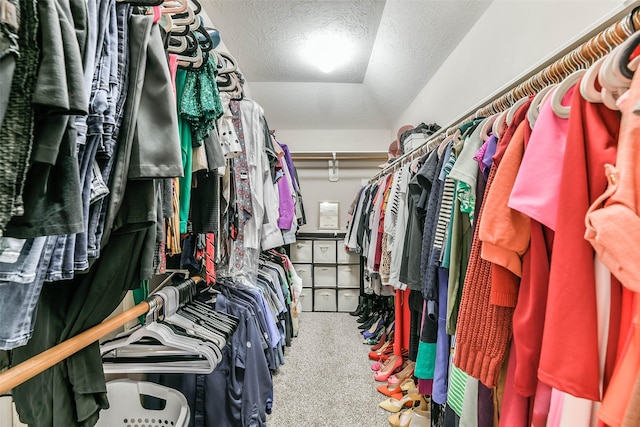 9322 Colt Canyon Ln, Houston, TX 77089 - walk in closet with carpet flooring
