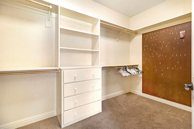 walk in closet with carpet floors