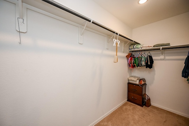 spacious closet featuring light carpet