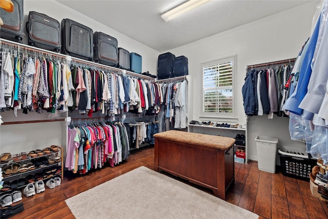 17714 W Copper Lakes Dr, Houston, TX 77095 - walk in closet with wood-type flooring