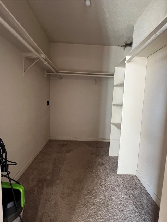 8100 Creekbend Dr Unit 117, Houston, TX 77071 - spacious closet with carpet floors