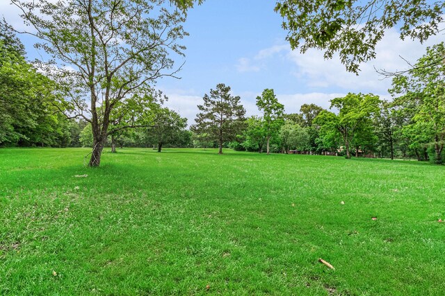 189 Lake Livingston Blvd, Livingston, TX 77351 - view of yard