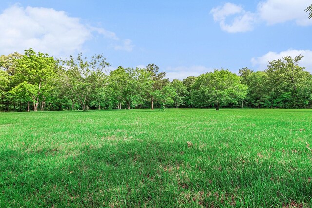 189 Lake Livingston Blvd, Livingston, TX 77351 - view of yard with a forest view
