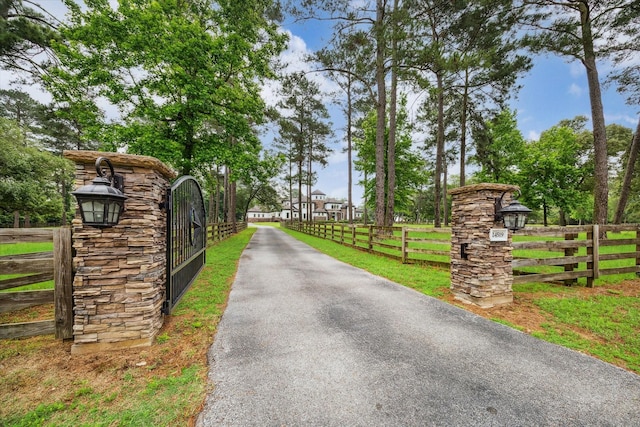 view of road with driveway