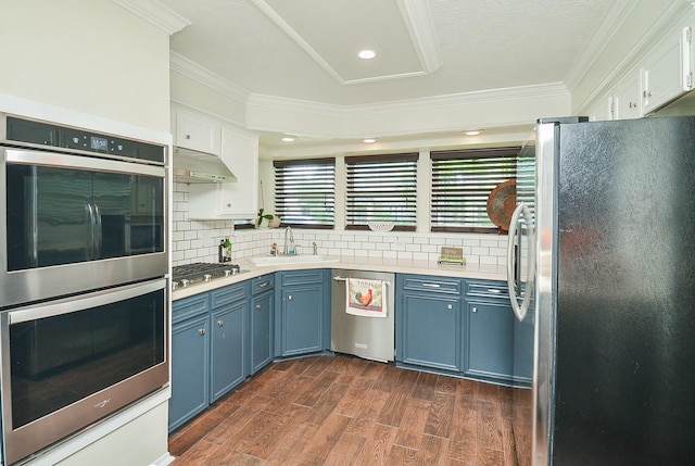 kitchen with crown molding, stainless steel appliances, blue cabinetry, and under cabinet range hood