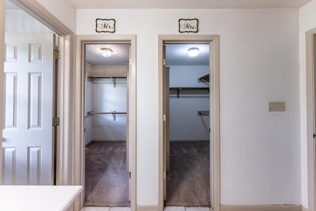 bathroom featuring a walk in closet