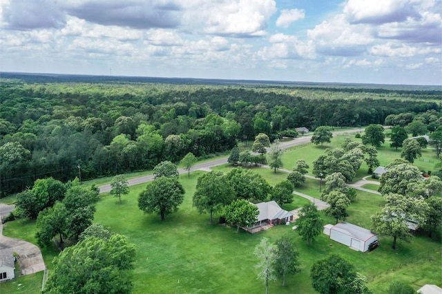 bird's eye view with a forest view