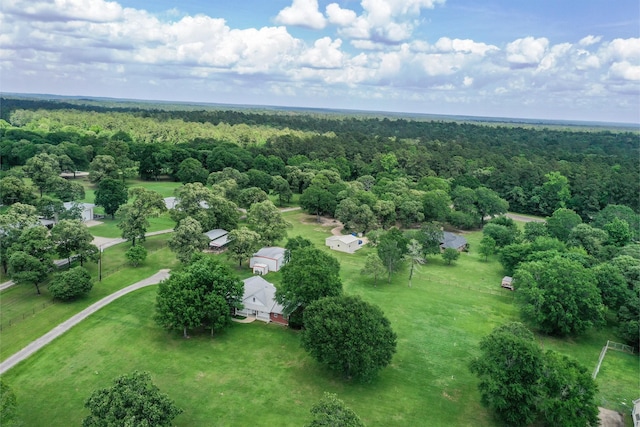 bird's eye view with a wooded view