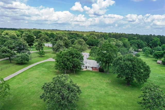 drone / aerial view