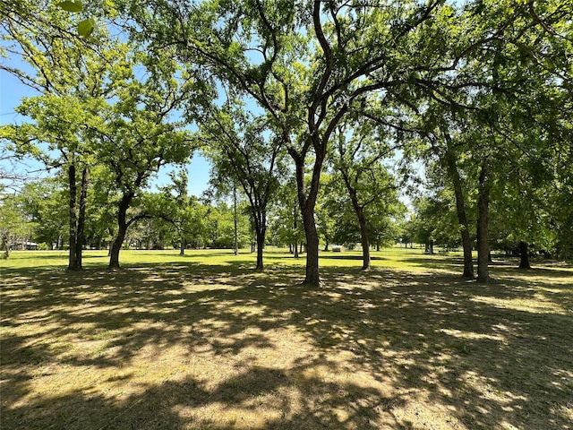 5325 County Road 2691, Buffalo, TX 75831 - view of yard