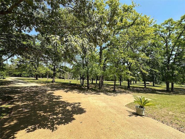 5325 County Road 2691, Buffalo, TX 75831 - view of surrounding community