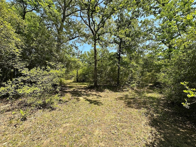 5325 County Road 2691, Buffalo, TX 75831 - view of nature featuring a view of trees