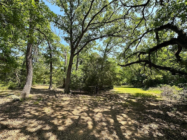 5325 County Road 2691, Buffalo, TX 75831 - view of nature featuring a forest view