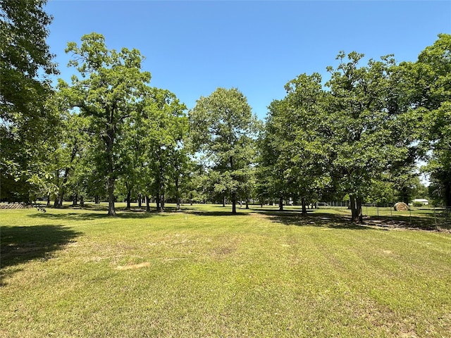 5325 County Road 2691, Buffalo, TX 75831 - view of yard