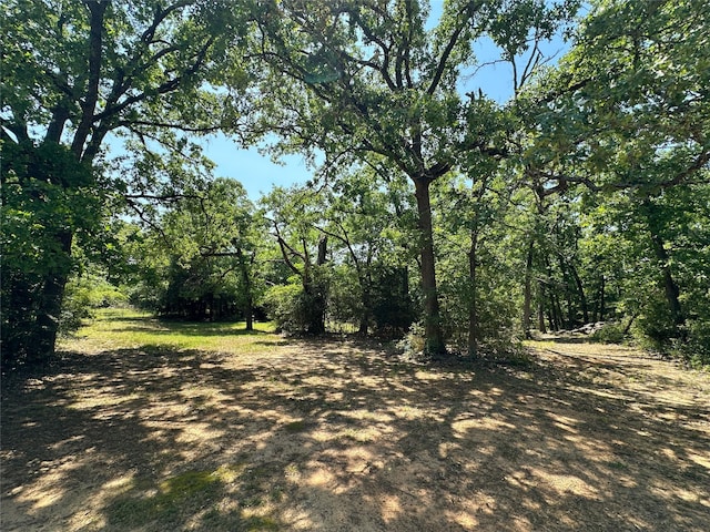 5325 County Road 2691, Buffalo, TX 75831 - view of nature