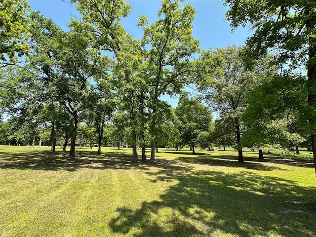 5325 County Road 2691, Buffalo, TX 75831 - view of yard