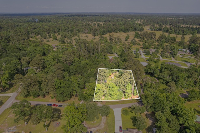 9847 N Lake Vw, Montgomery, TX 77316 - view of property location with a heavily wooded area and property parcel outlined