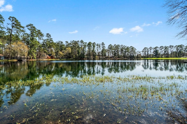 9847 N Lake Vw, Montgomery, TX 77316 - water view
