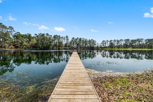 9847 N Lake Vw, Montgomery, TX 77316 - dock with a water view