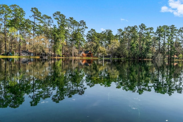 9847 N Lake Vw, Montgomery, TX 77316 - water view