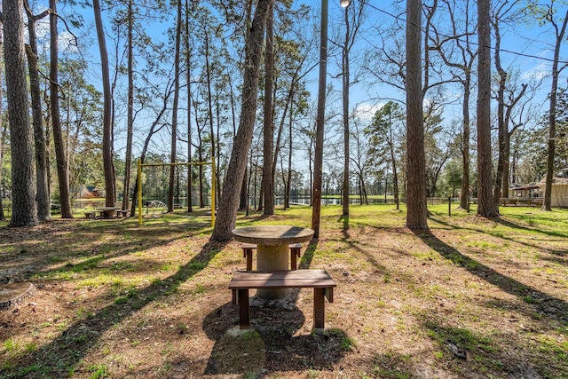 9847 N Lake Vw, Montgomery, TX 77316 - view of home's community