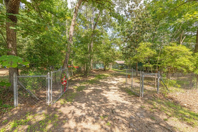 9847 N Lake Vw, Montgomery, TX 77316 - view of yard with a gate, fence, and driveway